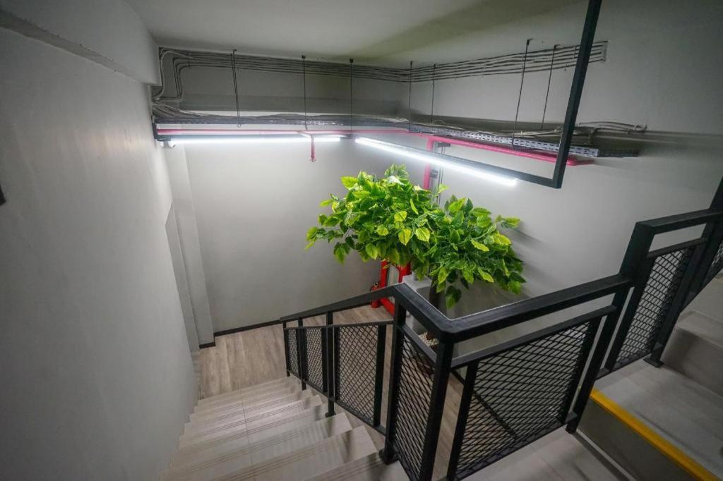 Oyo 568 Rajawali Homestay Palembang Kültér fotó